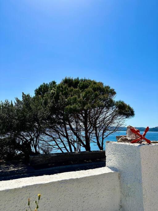 Villetta La Conchiglia La Maddalena  Kültér fotó